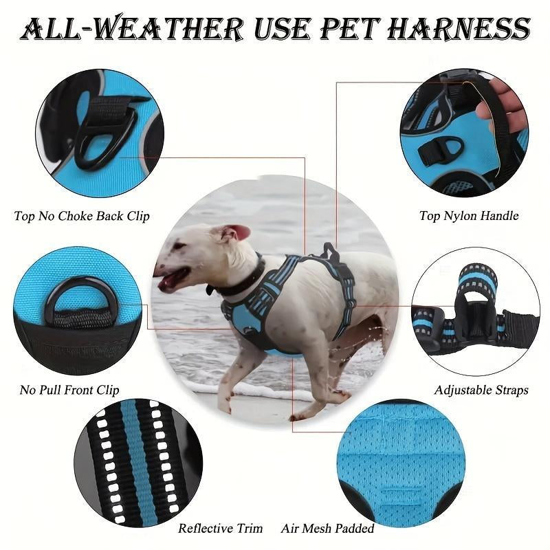 Pet Chest Harness with Leash & Separator