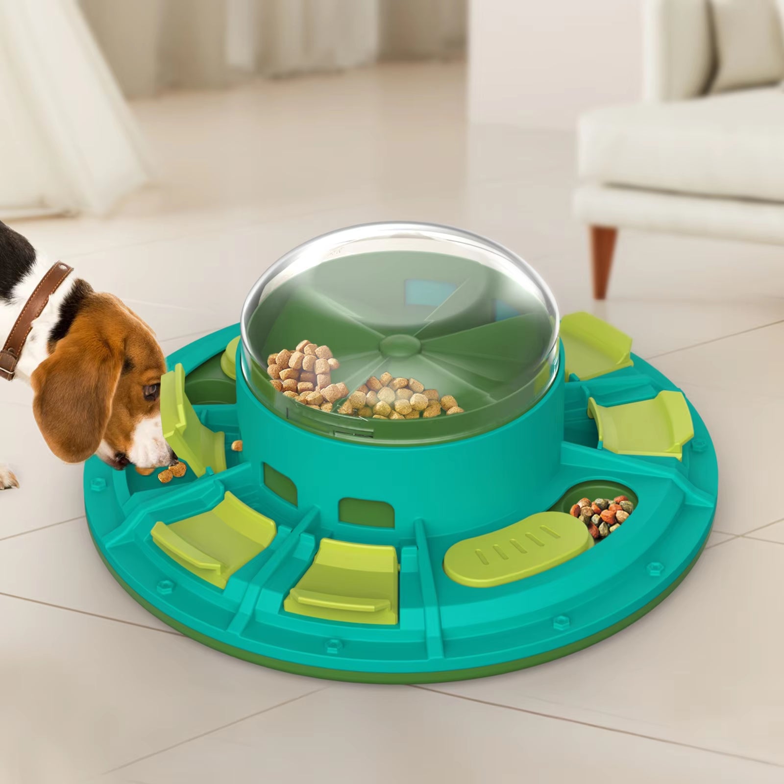 Dogs and Cats Educational Toys