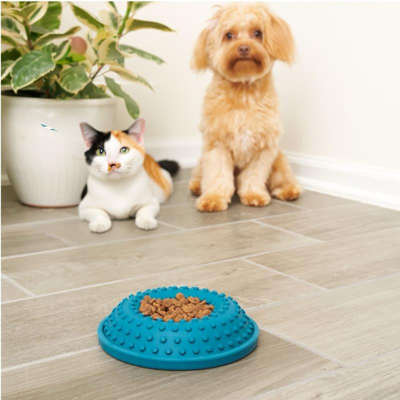 Lick Bowl for Dogs and Cats