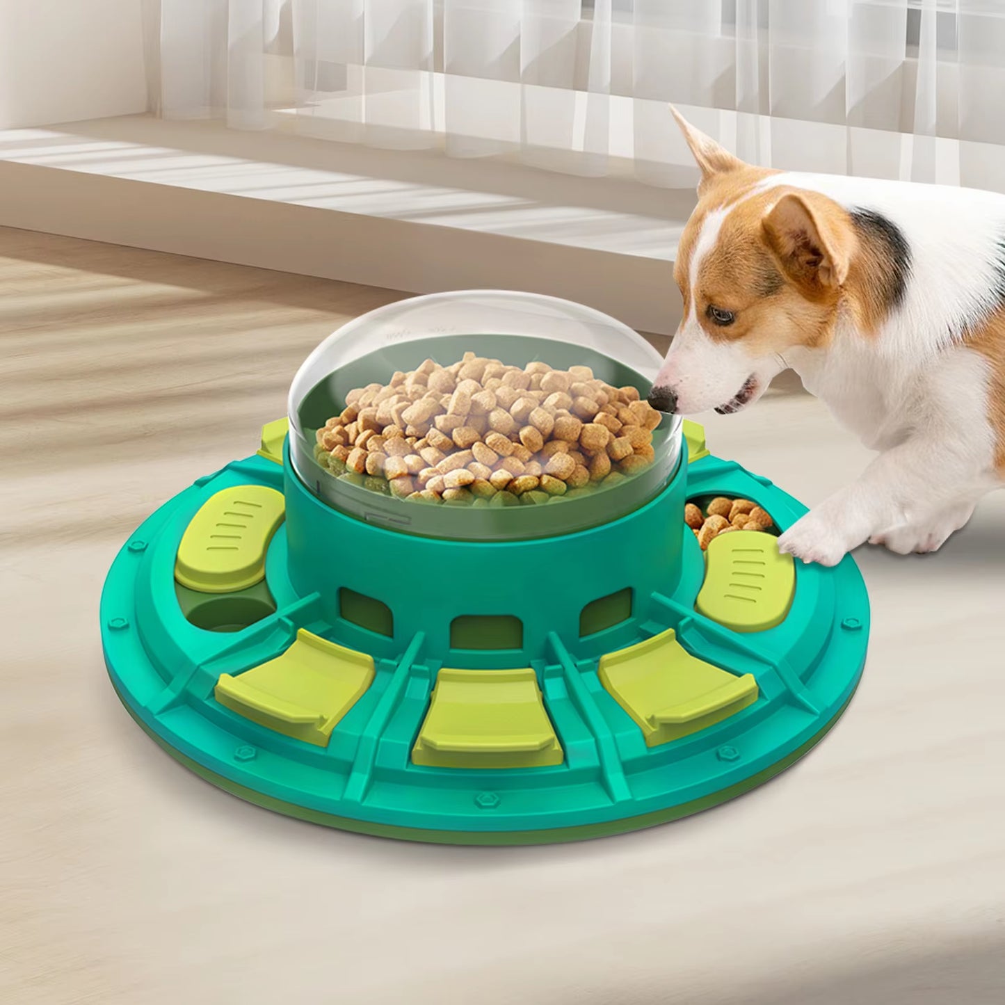 Dogs and Cats Educational Toys