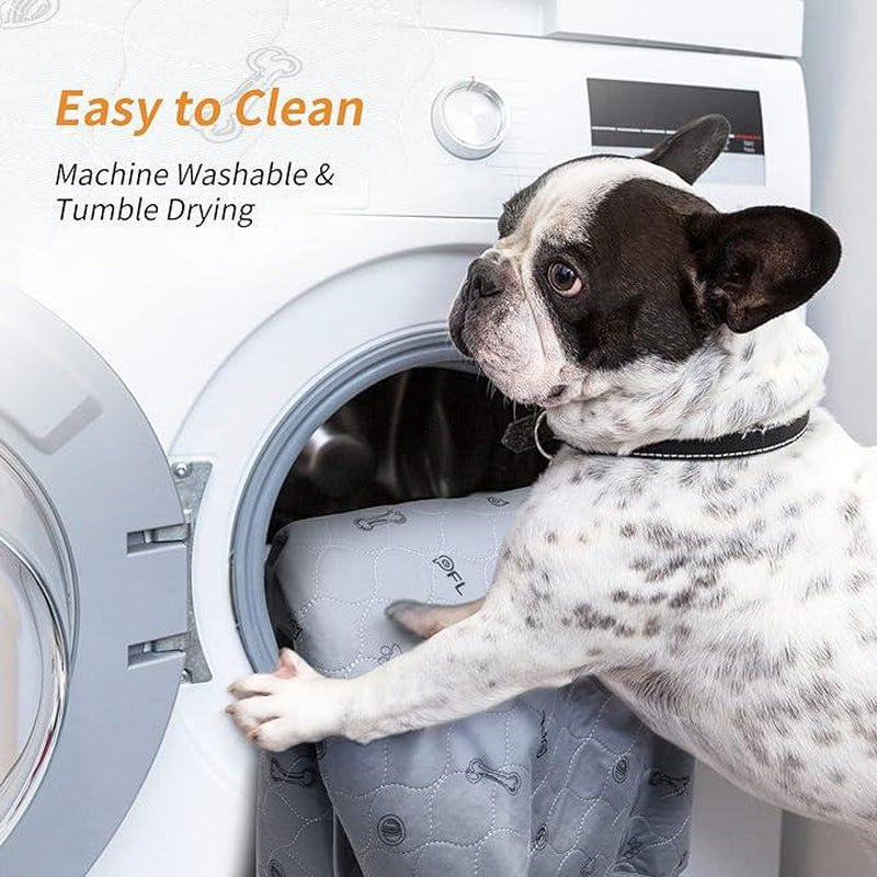 Washable Dog Pee Pad 72X72 